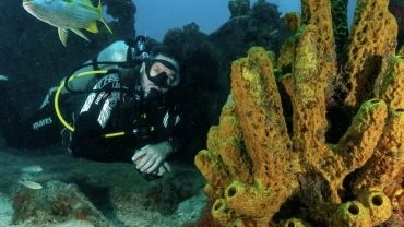 Flutuabilidade Avan&ccedil;ada